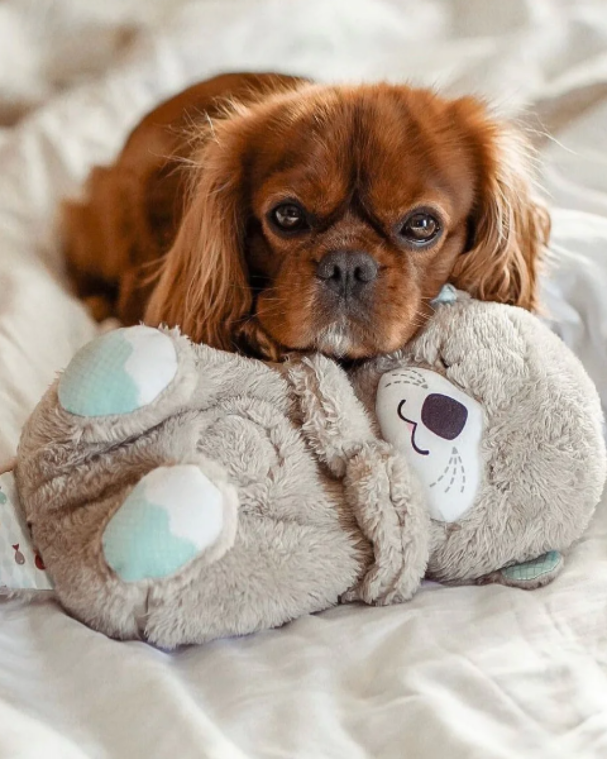 Breathing Otter Teddy - Soothing Sleep Aid Accessories