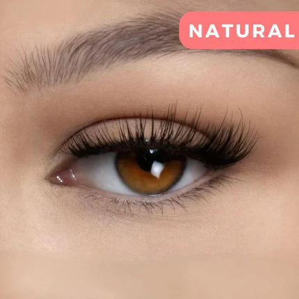 LashLines Magnetic Lashes Kit with Innovative Applicator Tool for Easy Application Natural Beauty