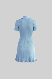 Nia™ | Baby Blue Short Sleeve Hourglass Dress Dresses