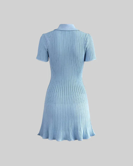 Nia™ | Baby Blue Short Sleeve Hourglass Dress Dresses