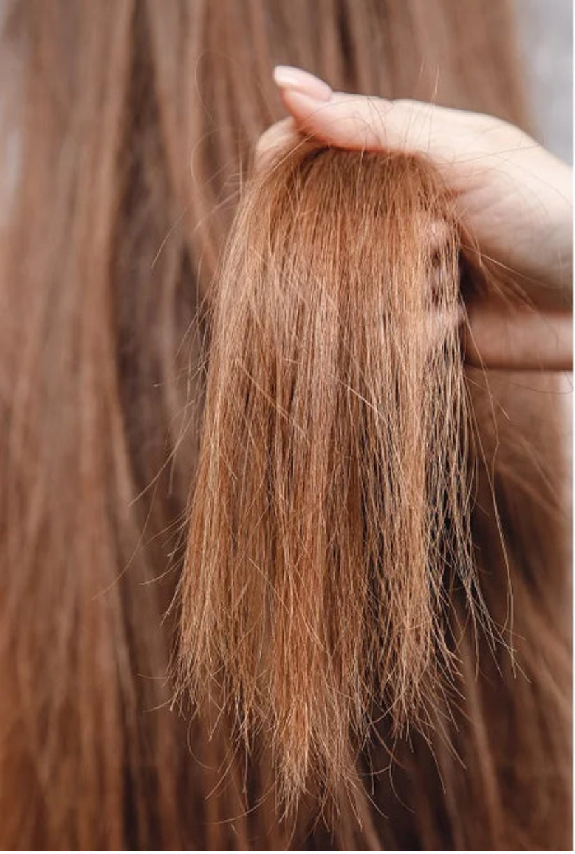 Mirage Trimmer - Say Goodbye to Split Ends and Embrace Beautiful Hair Beauty