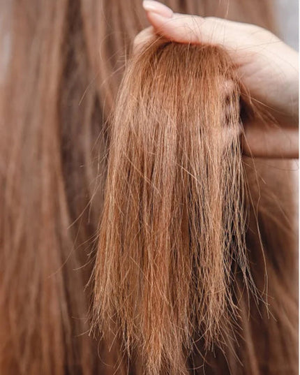 Mirage Trimmer - Say Goodbye to Split Ends and Embrace Beautiful Hair Beauty
