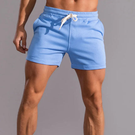 Men's 100% Cotton Breathable Casual Summer Shorts Blue Shorts