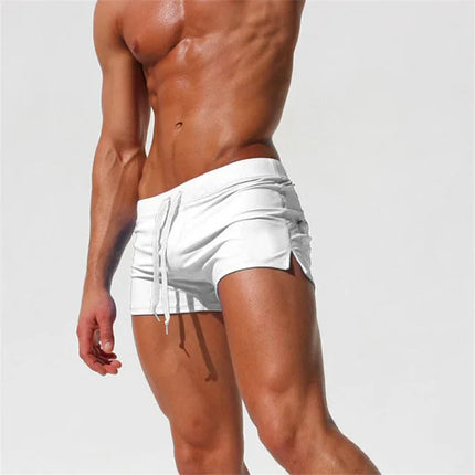 Men's Quick-Dry Swim Trunks Wt Shorts