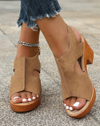Camel