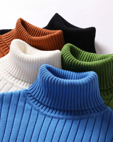 Polo Turtleneck Sweater sweater