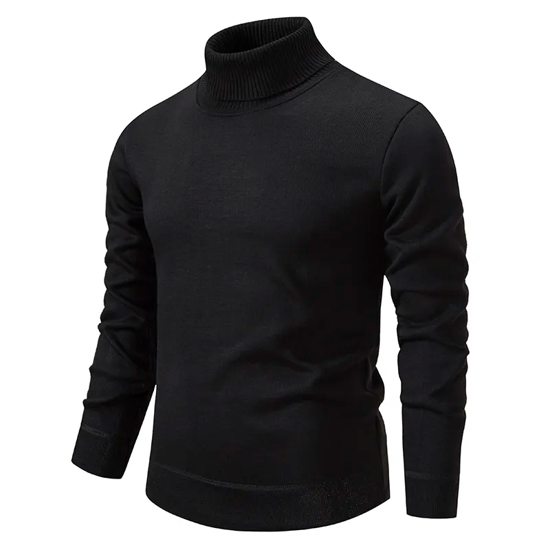 Eavan | Stylish Turtleneck Sweater Black