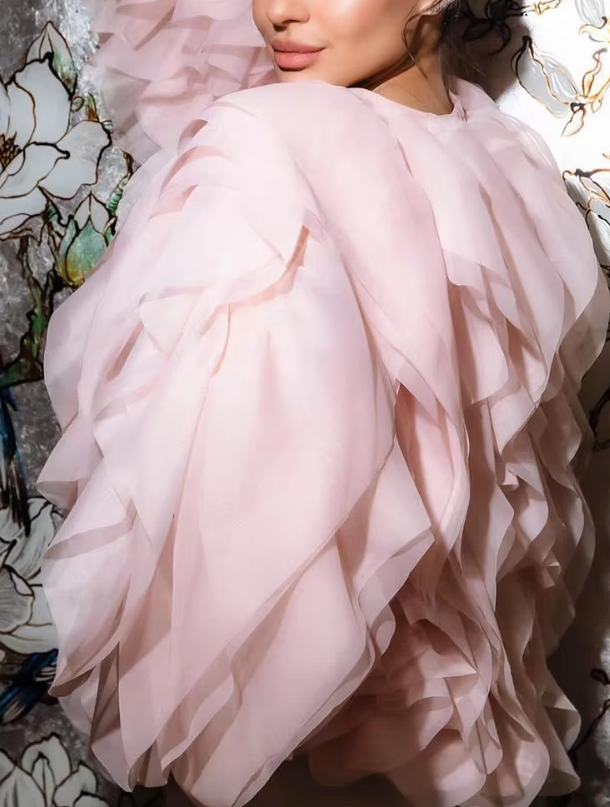 Karissa | Elegant Ruffles Sleeved Blouse Blouse