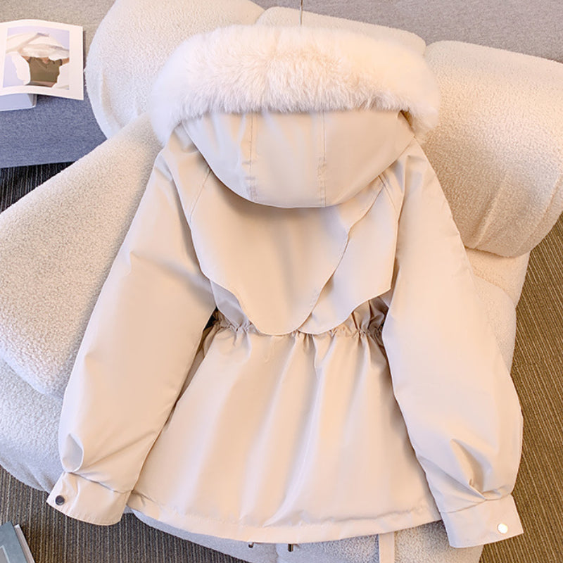 Waterproof Insulated Winter Jacket Jacket