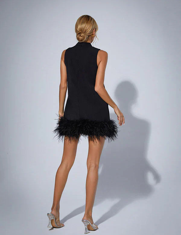 Cecily | Black Feather Mini Dress Dresses