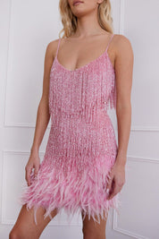 Nika | Sequin Fringe Feather Dress Dresses